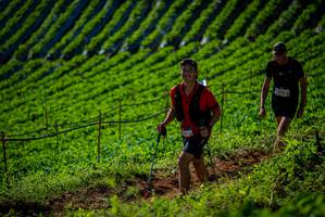 BIB: 
                            <button type="button" onclick="openModal(19161197)" class="btn btn-primary btn-sm float-right btn-popup" data-toggle="modal" data-target=".modal-high-quality">
                        <i class="fas fa-shopping-cart"></i> Add to Cart
                    </button>
                                            <button type="button" onclick="isThisMe(19161197, true)" class="btn btn-success btn-sm float-right btn-popup btn-isme hidden" data-toggle="tooltip" data-placement="bottom" title="นี่คือรูปของคุณใช่ไหม คลิกที่นี่เพื่อเอาเข้าอัลบั้ม">
                        <i class="fas fa-plus"></i> Add to album
                    </button>
                    <button type="button" onclick="isThisMe(19161197, false)" class="btn btn-warning btn-sm float-right btn-popup btn-isnotme hidden">
                        <i class="fas fa-ban"></i> Remove from album
                    </button>